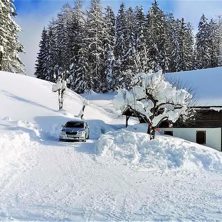 Natur Pur Pikovo Villa Crna na Koroskem Dış mekan fotoğraf