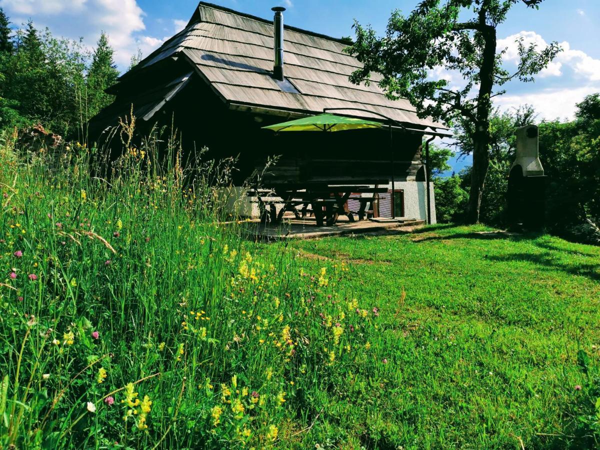 Natur Pur Pikovo Villa Crna na Koroskem Dış mekan fotoğraf