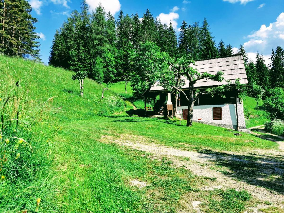 Natur Pur Pikovo Villa Crna na Koroskem Dış mekan fotoğraf