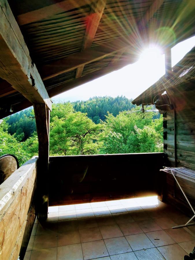 Natur Pur Pikovo Villa Crna na Koroskem Dış mekan fotoğraf