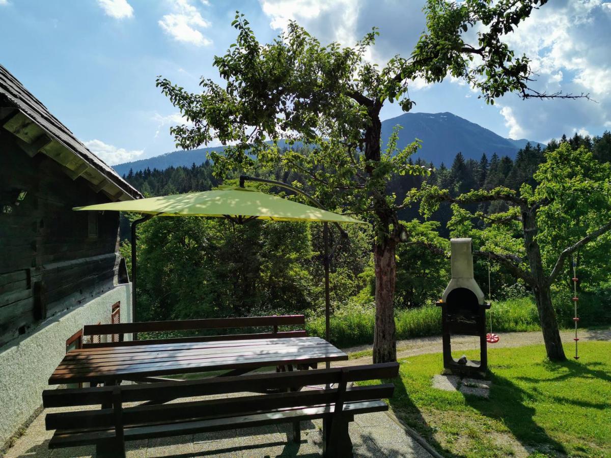 Natur Pur Pikovo Villa Crna na Koroskem Dış mekan fotoğraf