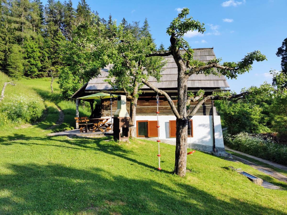 Natur Pur Pikovo Villa Crna na Koroskem Dış mekan fotoğraf