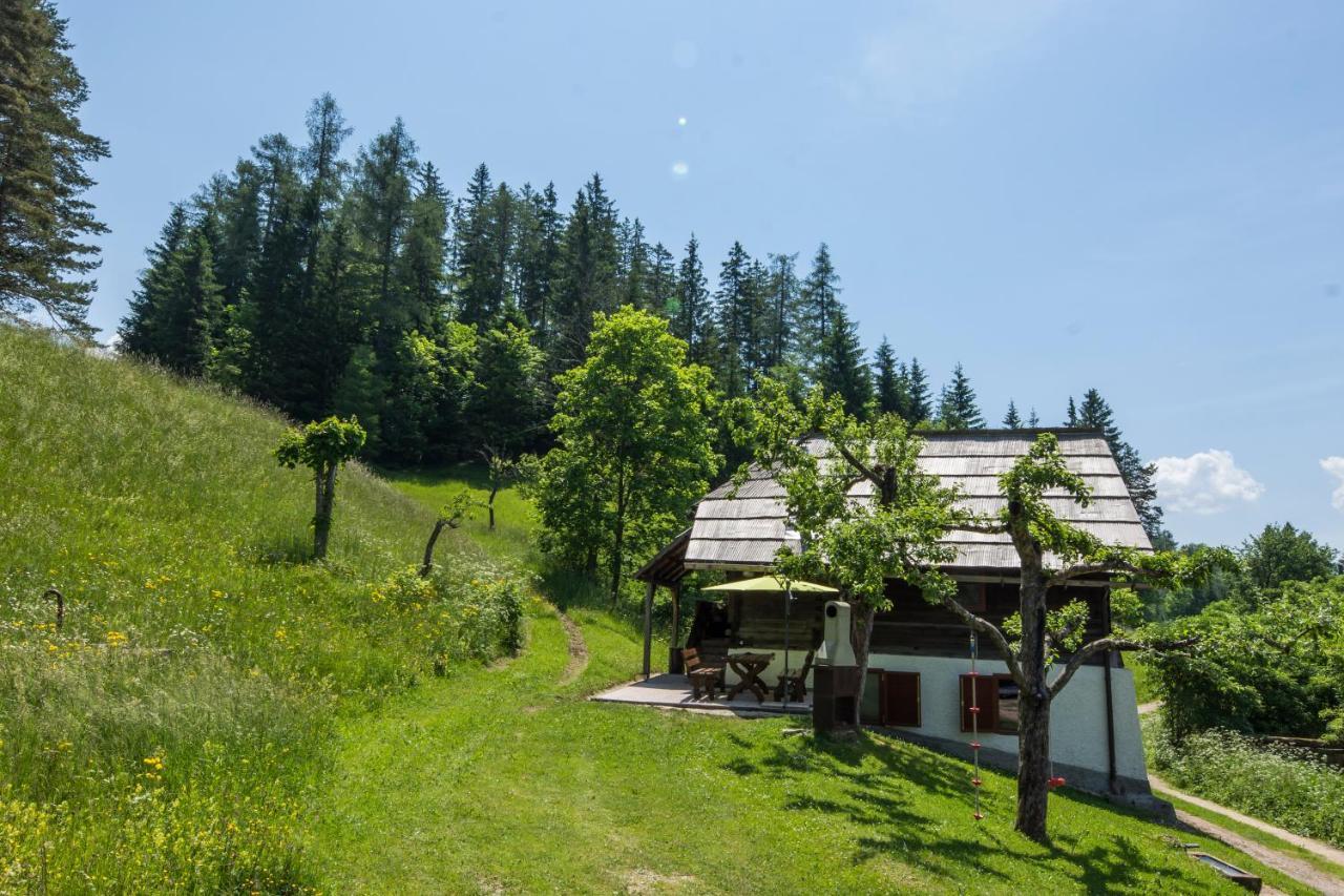 Natur Pur Pikovo Villa Crna na Koroskem Dış mekan fotoğraf