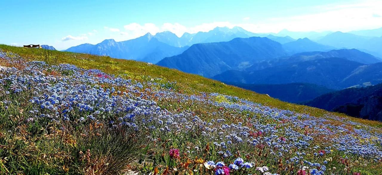 Natur Pur Pikovo Villa Crna na Koroskem Dış mekan fotoğraf