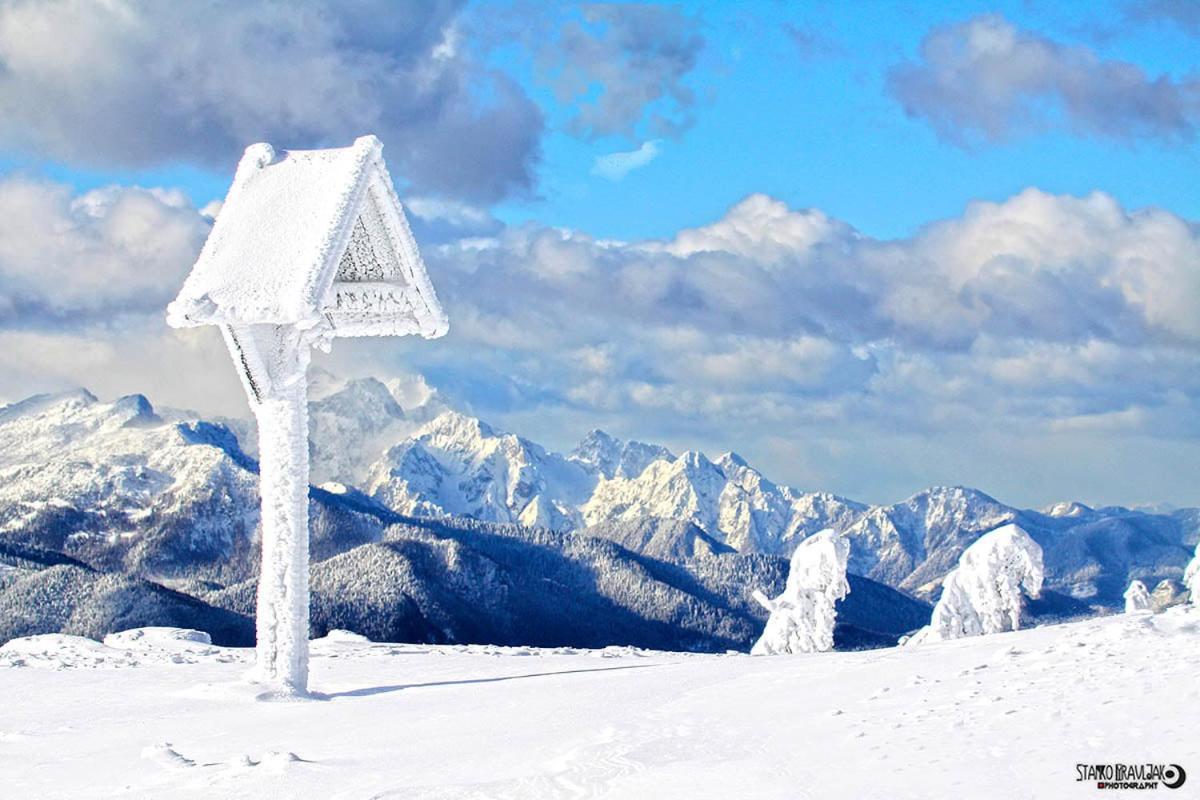 Natur Pur Pikovo Villa Crna na Koroskem Dış mekan fotoğraf