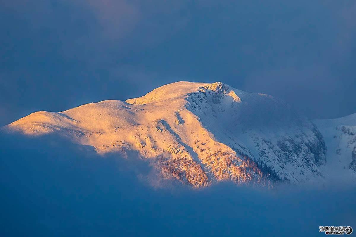 Natur Pur Pikovo Villa Crna na Koroskem Dış mekan fotoğraf