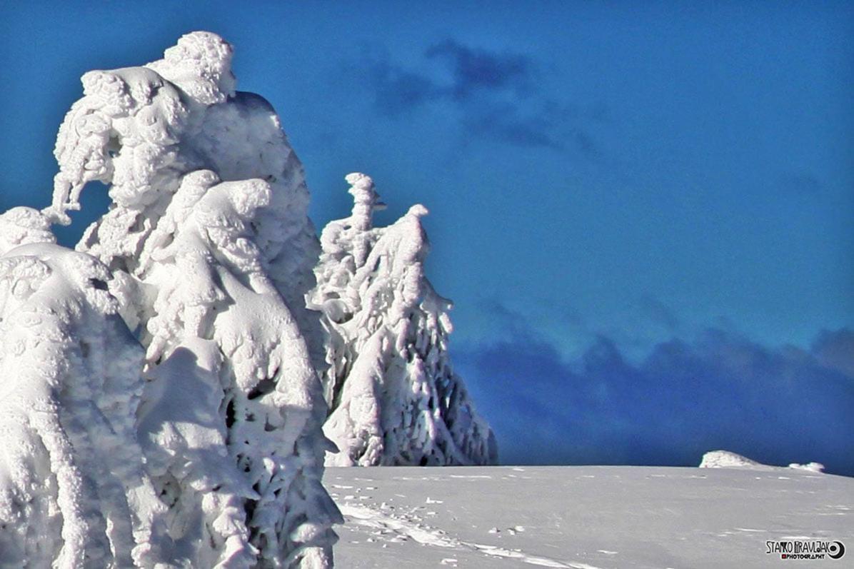 Natur Pur Pikovo Villa Crna na Koroskem Dış mekan fotoğraf