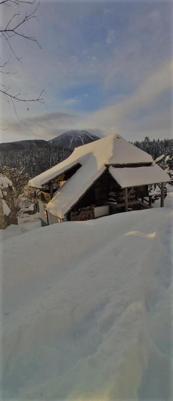 Natur Pur Pikovo Villa Crna na Koroskem Dış mekan fotoğraf