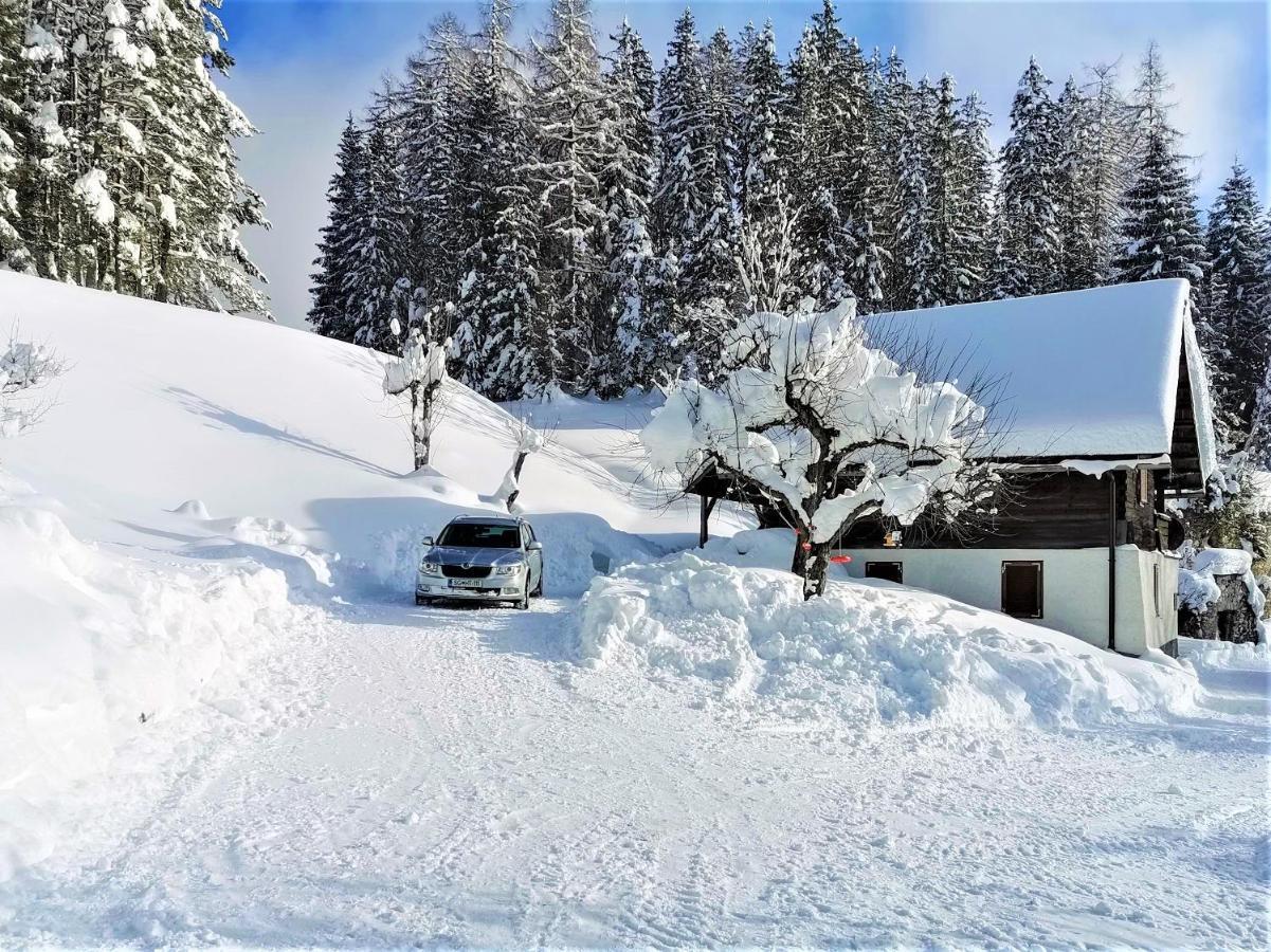 Natur Pur Pikovo Villa Crna na Koroskem Dış mekan fotoğraf